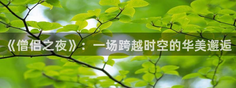 囧次元官方网站入口：《僧侣之夜》：一场跨越时空的华美邂逅