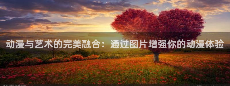 囧次元最新版下载：动漫与艺术的完美融合：通过图片增强你的动漫体验