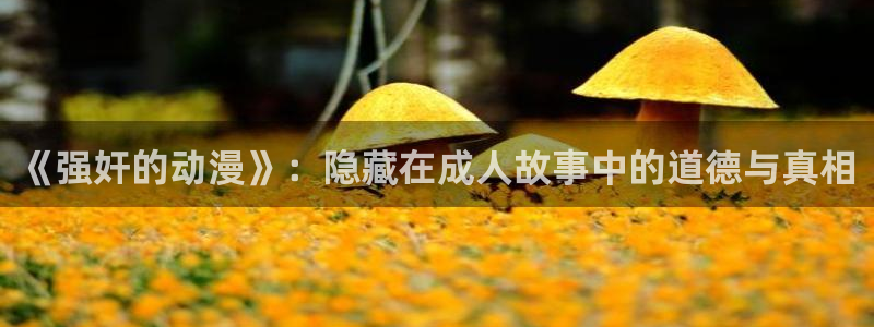 囧次元app下载官方版