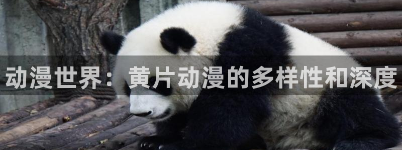 囧次元app正版：动漫世界：黄片动漫的多样性和深度