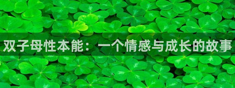 囧次元官方网页版