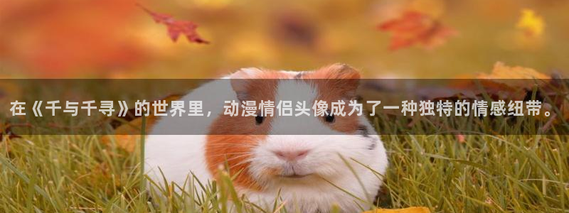 囧次元官方下载正版