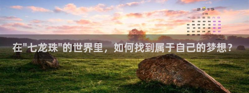 囧次元官网在线观看免费入口