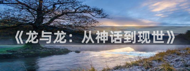 囧次元app入口