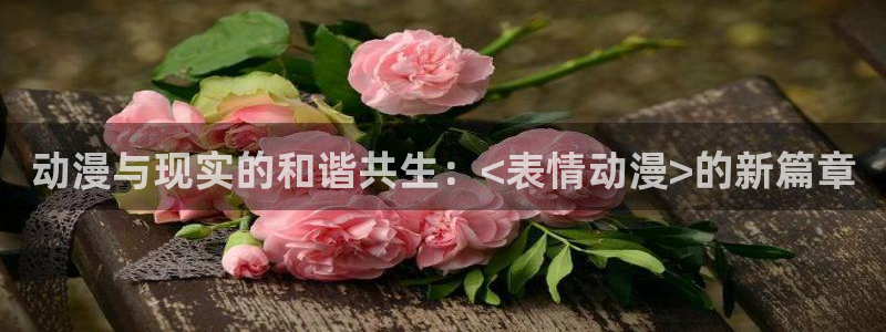 囧次元更新