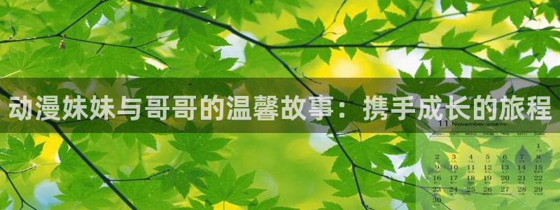 囧次元安卓版下载