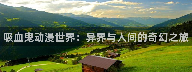 囧囧次元
