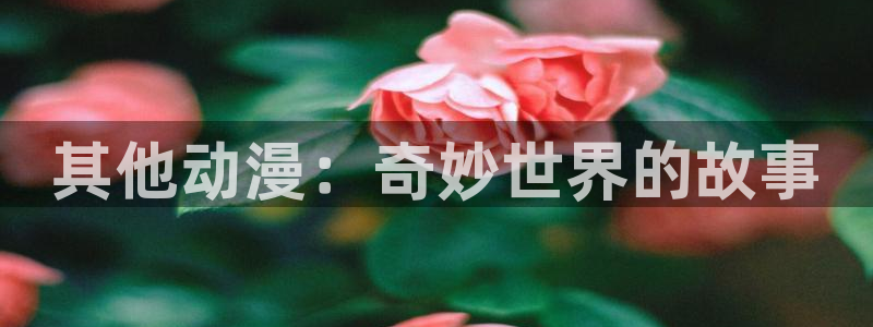 囧次元最新版下载官方正版