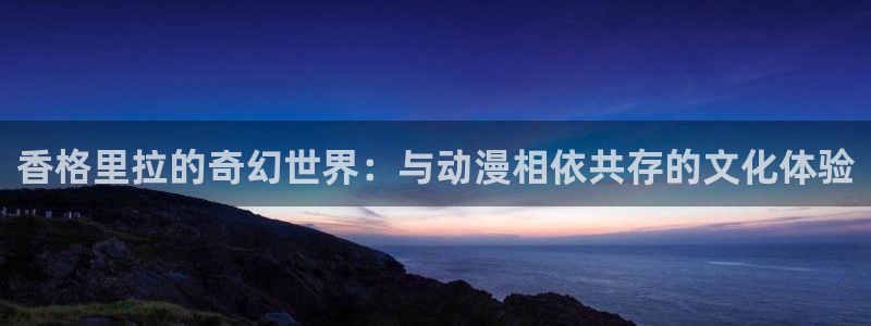 囧次元是什么