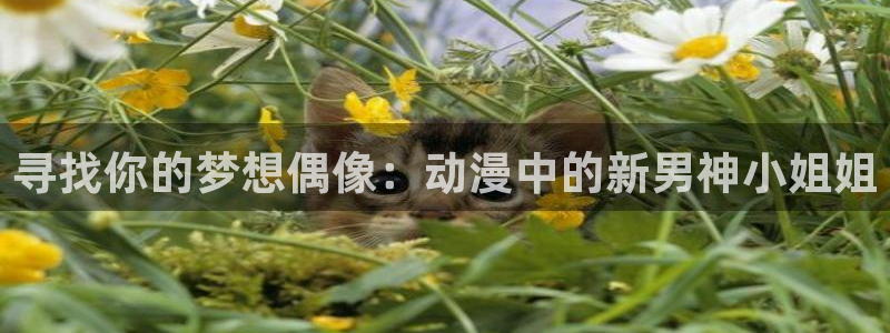 囧次元官方正版