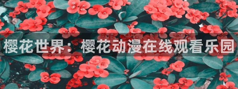 囧次元正版app下载入口