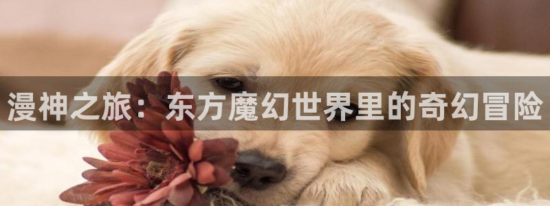 囧次元官方入口下载