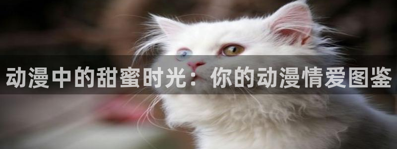 囧次元网站