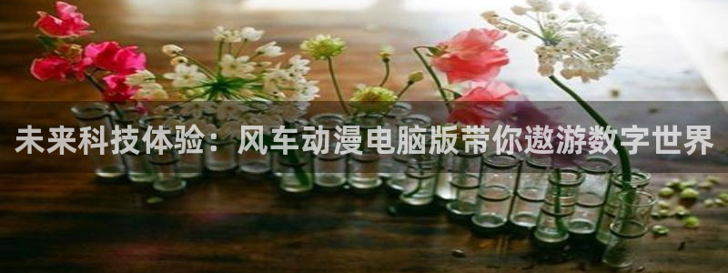 囧次元囧次元：未来科技体验：风车动漫电脑版带你遨游数字世界