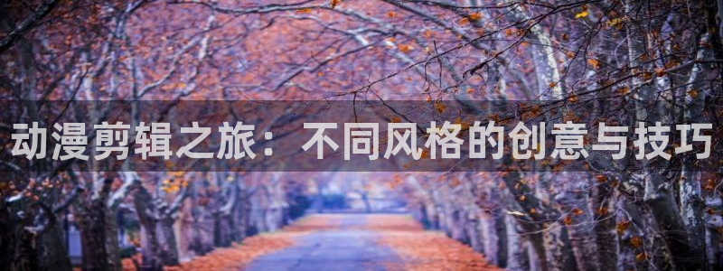 囧次元官方网站ios版本：动漫剪辑之旅：不同风格的创意与技巧