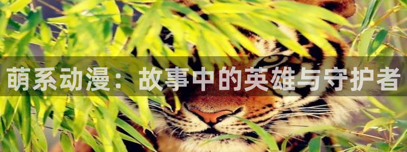 囧次元下载网站