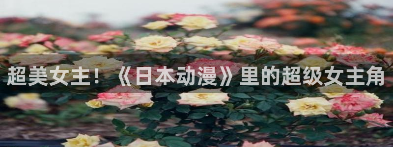 囧次元官方入口官网：超美女主！《日本动漫》里的超级女主角