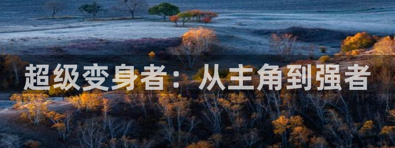 囧次元下载最新