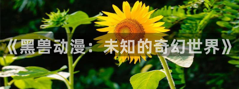 囧次元网站链接