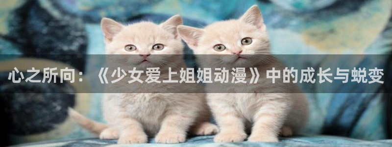 囧次元app官方正版下载