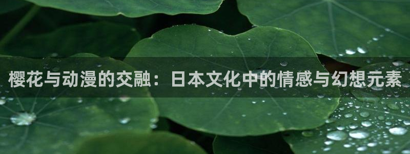囧次元网页
