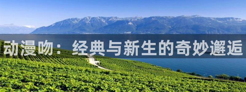 囧次元免费