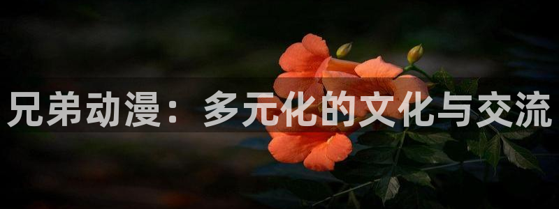 囧次元动漫官网