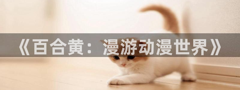 囧囧次元