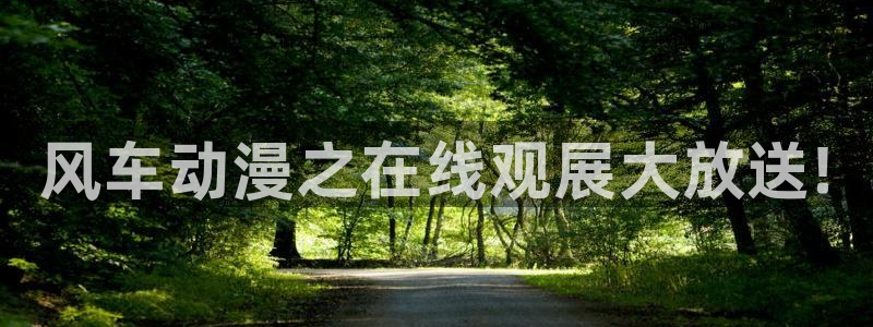 囧次元大全