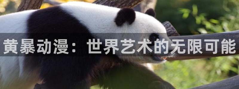 囧次元app下载官网网址：黄暴动漫：世界艺术的无限可能