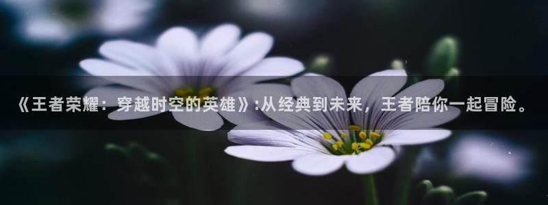 囧次元 官网：《王者荣耀：穿越时空的英雄》:从经典到未来，王者陪你一起冒险。