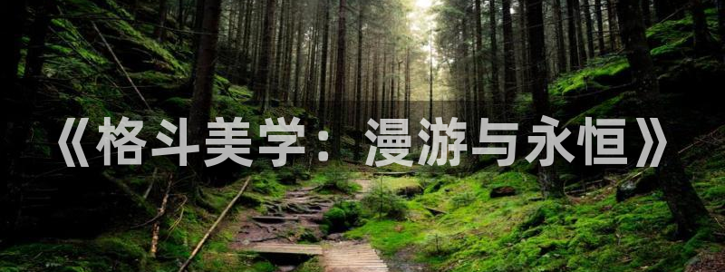 囧次元最新下载：《格斗美学：漫游与永恒》
