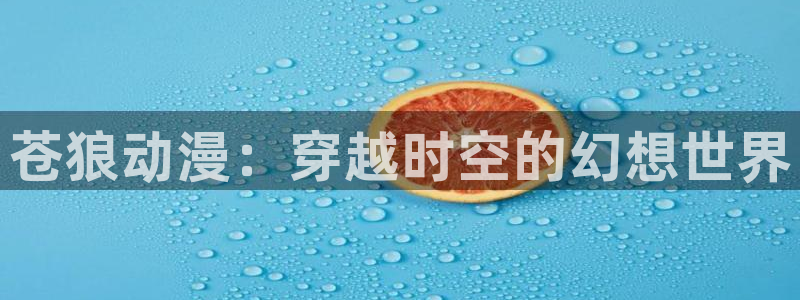 囧次元正版免费下载：苍狼动漫：穿越时空的幻想世界