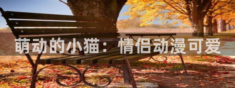 囧次元正版下载安装：萌动的小猫：情侣动漫可爱