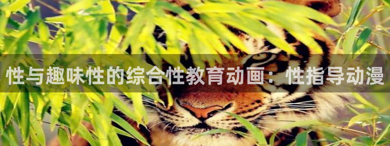 囧次元官方版：性与趣味性的综合性教育动画：性指导动漫