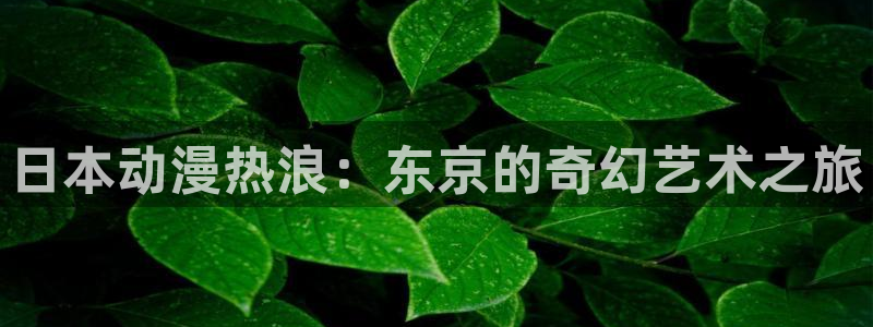 囧次元在线看：日本动漫热浪：东京的奇幻艺术之旅