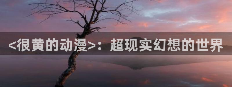 正版囧次元：<很黄的动漫>：超现实幻想的世界