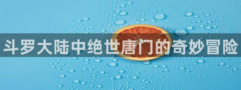 免费下载囧次元：斗罗大陆中绝世唐门的奇妙冒险