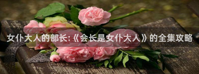 囧次元网页官网：女仆大人的部长:《会长是女仆大人》的全集攻略