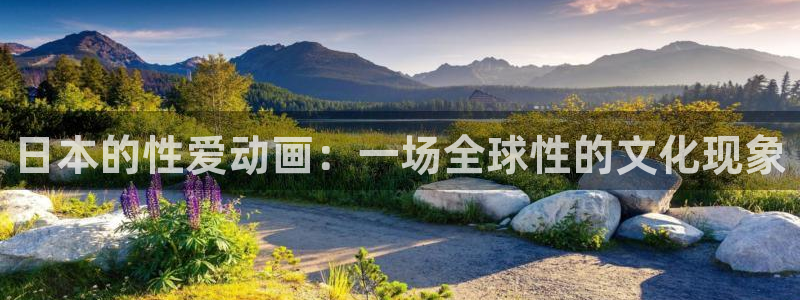 囧次元1.5.7.9官网入口：日本的性爱动画：一场全球性的文化现象