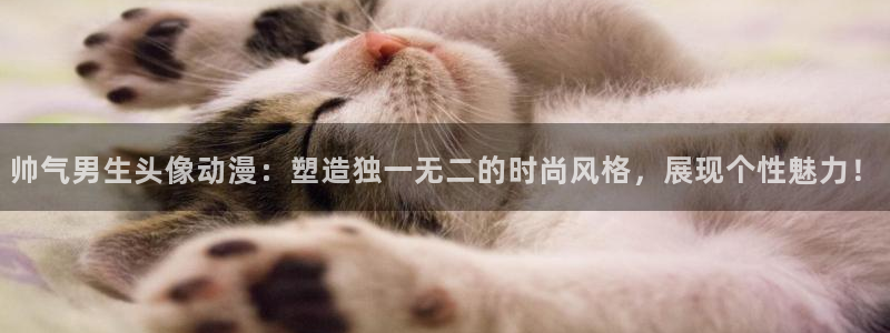 囧次元官方网页入口：帅气男生头像动漫：塑造独一无二的时尚风格，展现个性魅力！