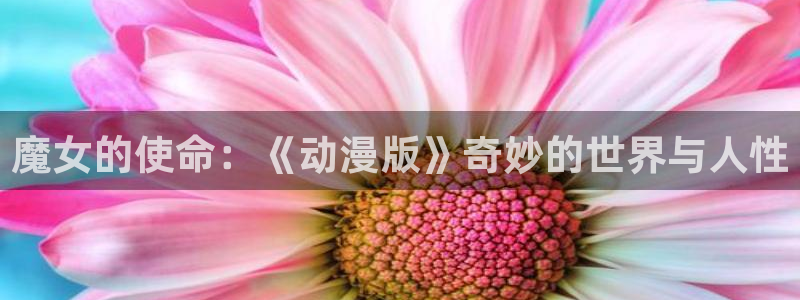 囧次元网页版入口：魔女的使命：《动漫版》奇妙的世界与人性