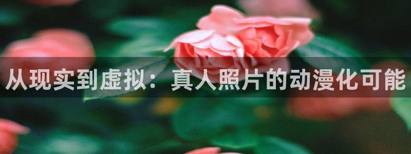 囧次元链接