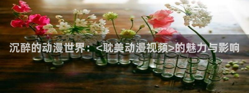 囧次元在线看