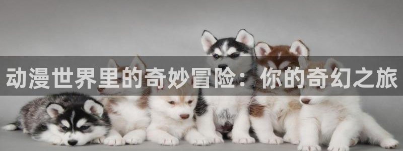 囧次元为什么打不开了