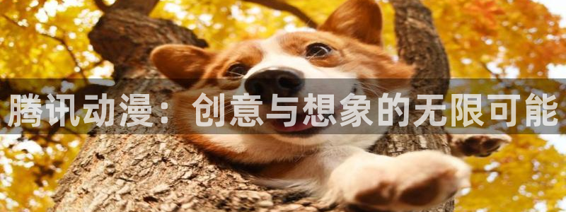 囧次元免费下载官方正版