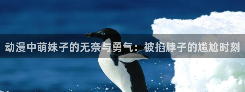 囧次元官方正版app