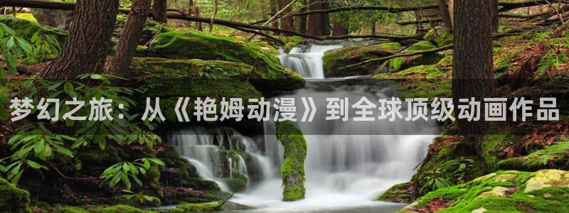 囧次元软件