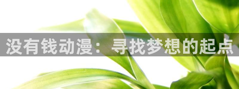 囧次元下载免费版