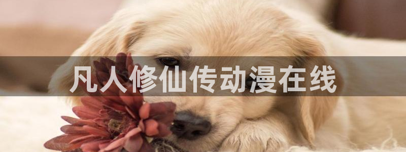 囧次元官方正版